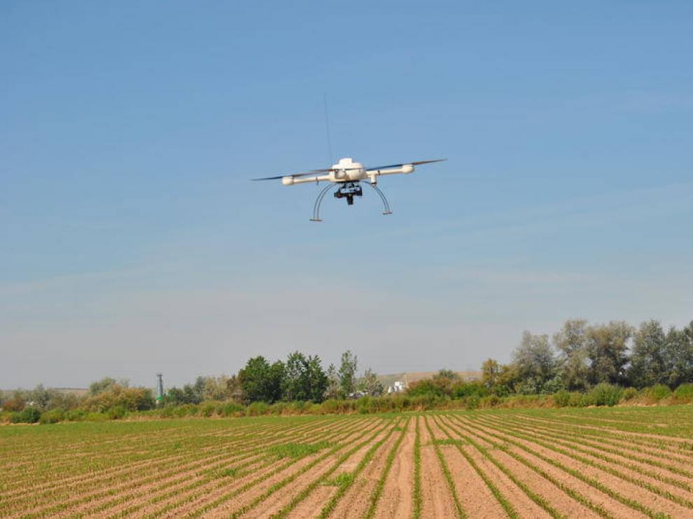 Un dron sobrevuela un campo aragonés.