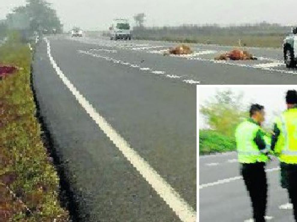 Suceso en la A-1210 (Km 20,250).