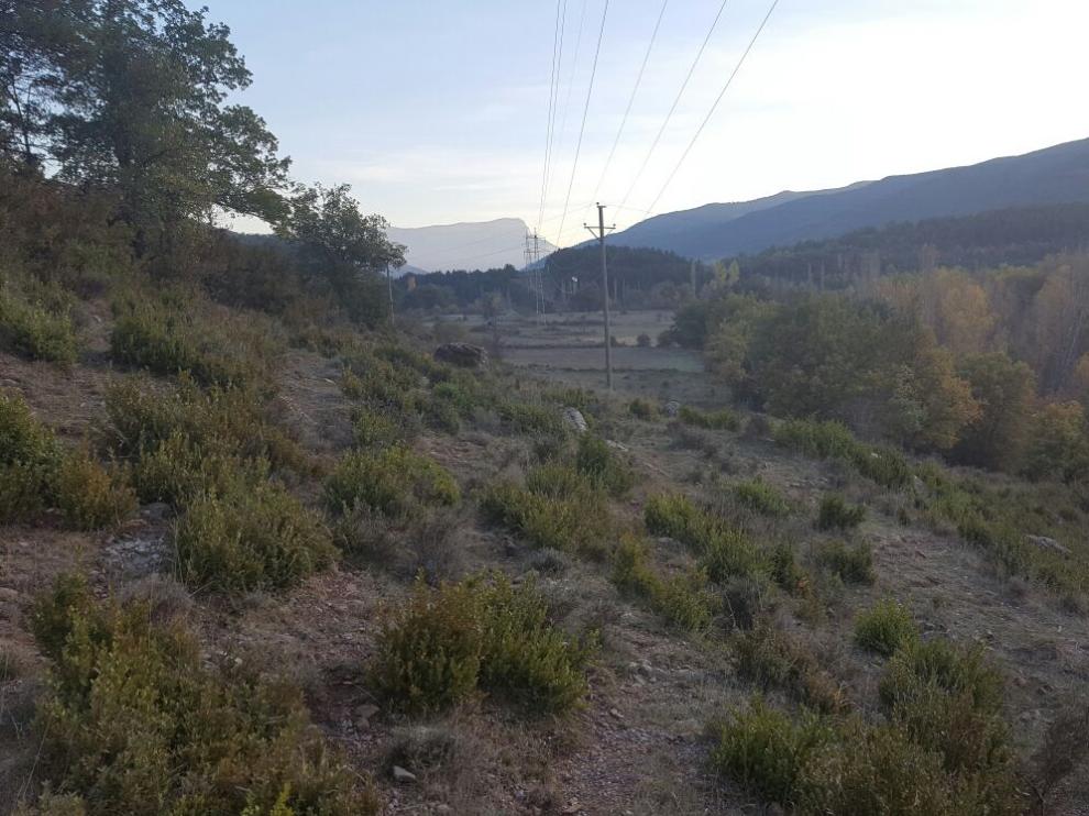Zona de monte del Salzar, donde este martes ha fallecido un cazador, en Castiello de Jaca