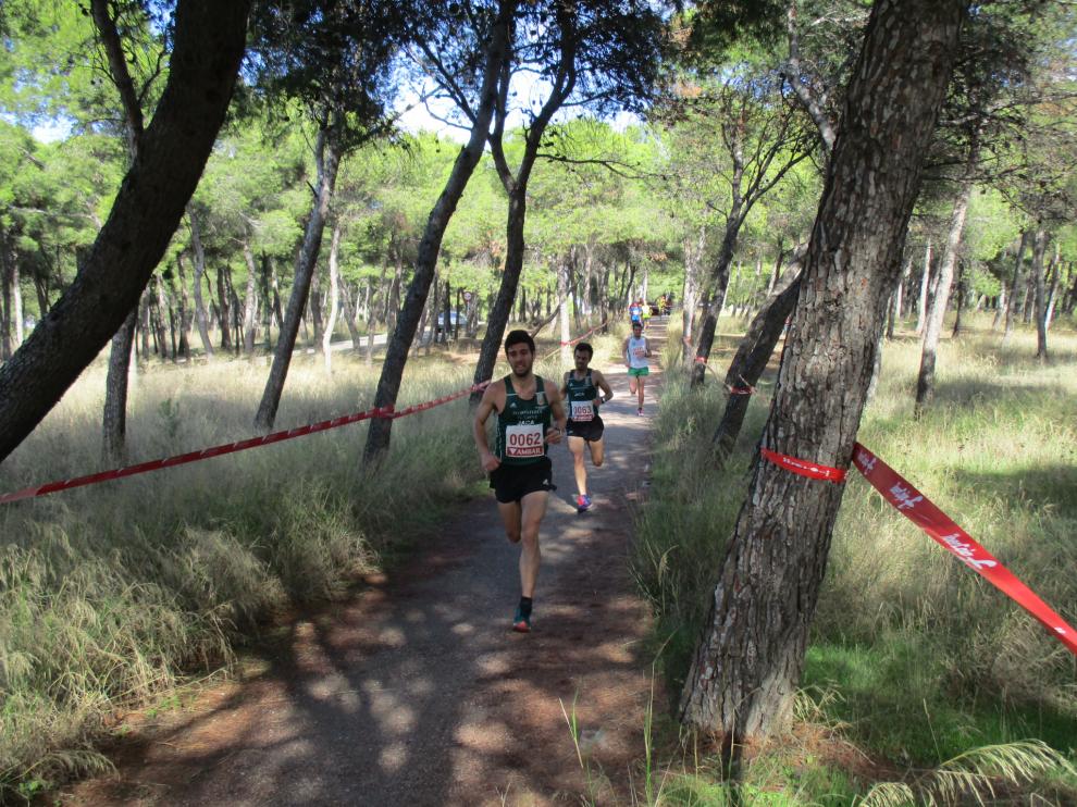 XXVII edición del cross del Stadium Venecia