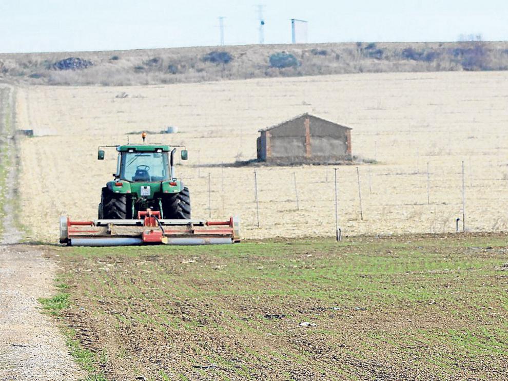 Trabajos de siembra en un campo aragonés.