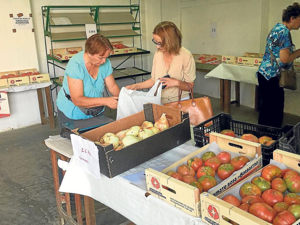 Centro de comercialización y recepción del tomate rosa en Barbastro.