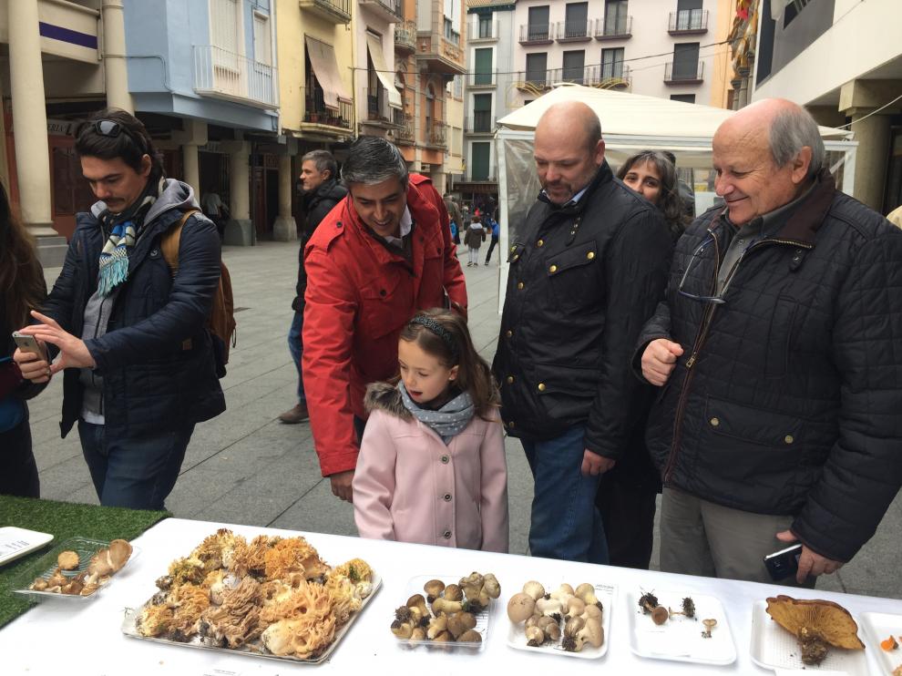 Muestra de setas en la plaza del Mercado de Barbastro.