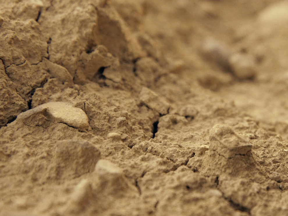 "La tortura del desierto" es uno de los documentales de la Universidad de Zaragoza finalistas al Festival de Cine.