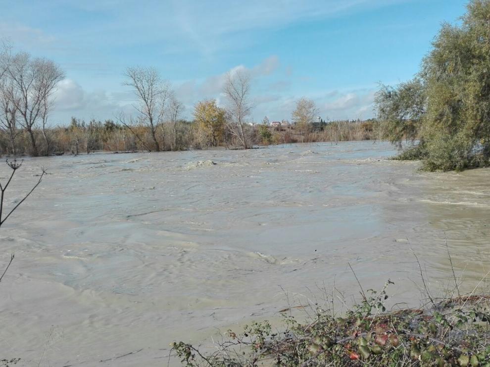 La crecida del río Gállego a la altura de Peñaflor.