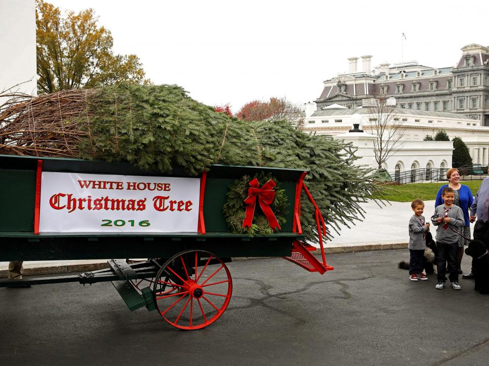 Michelle Obama recibe con sus sobrinos el árbol navideño de la Casa Blanca