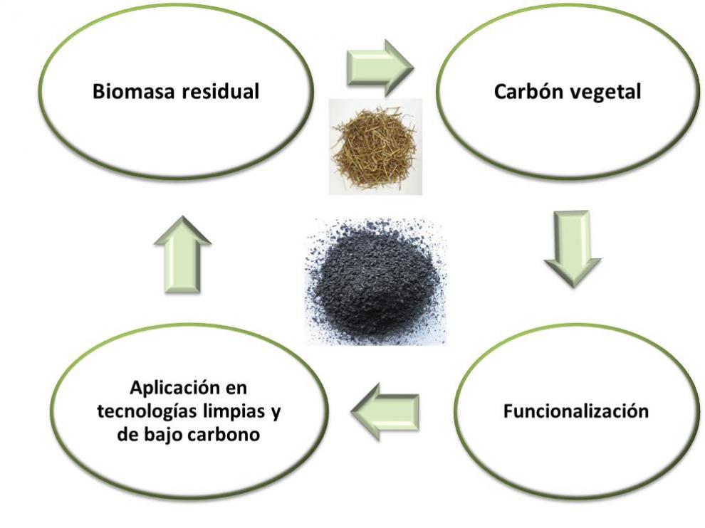 El proyecto Greencarbon desarrolla nuevo conocimiento y tecnología para los carbones obtenidos a partir de biomasa.