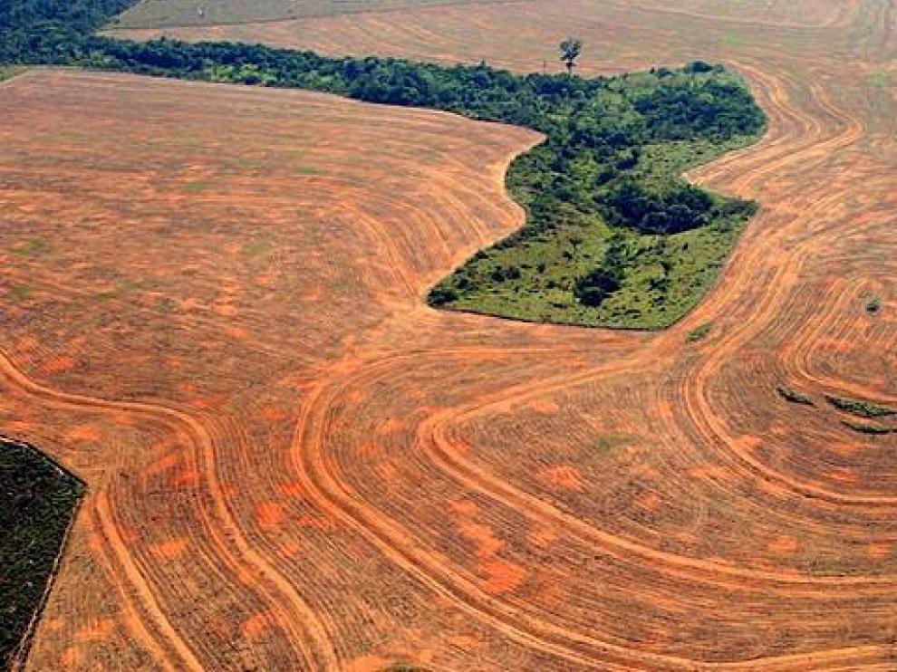 La Deforestación De La Amazonía Brasileña Bate Un Nuevo Récord 