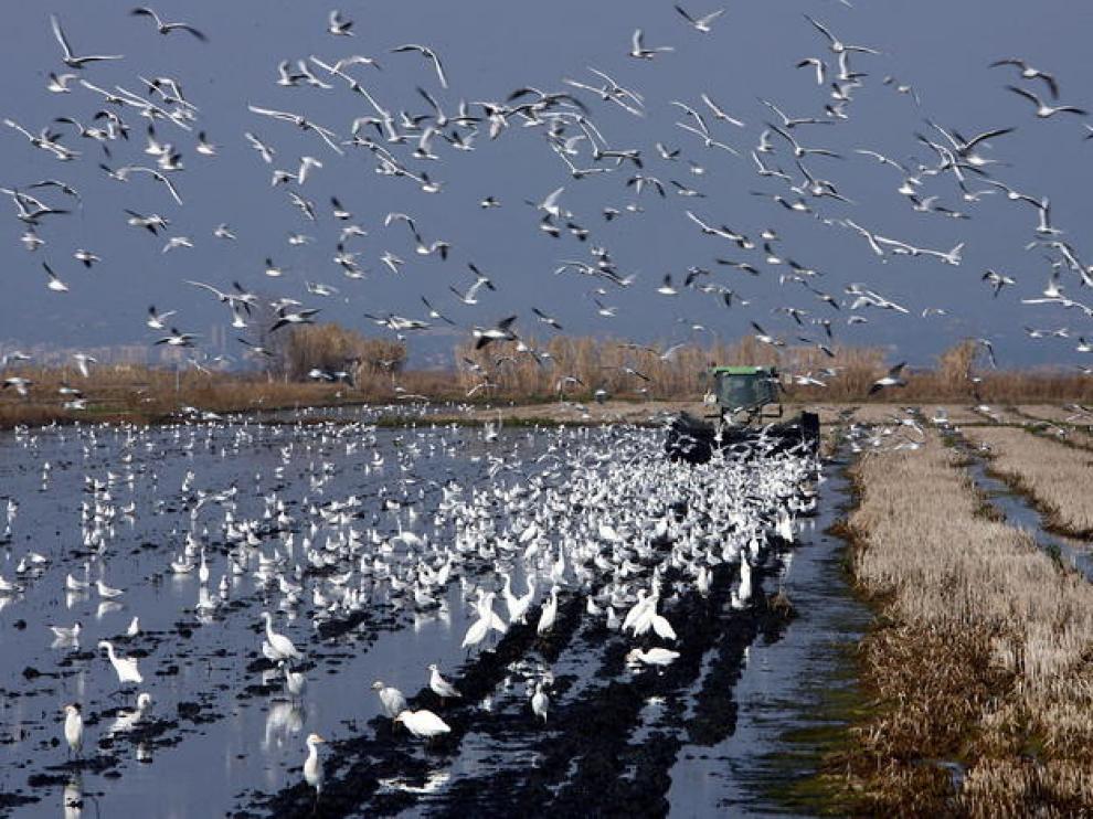El suceso ha ocurrido cerca del delta del Ebro