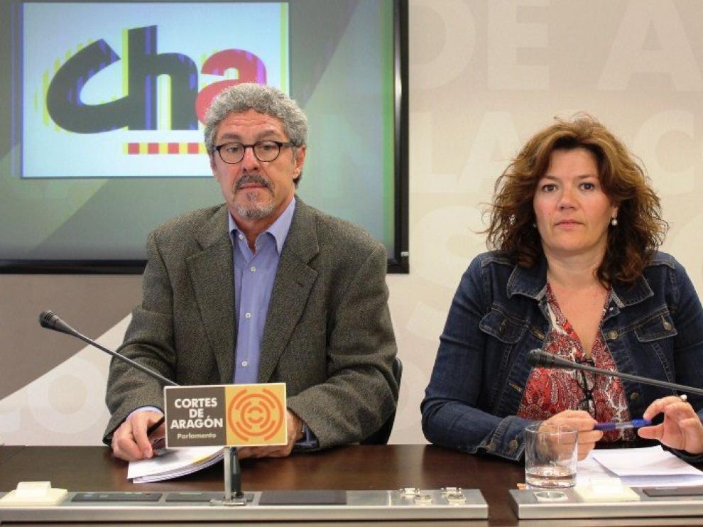 Los diputados de CHA, Gregorio Briz y Carmen Martínez.