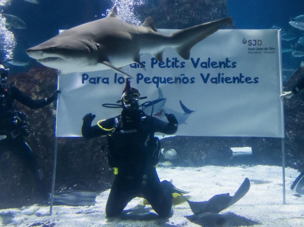 Antonio Orozco se baña con tiburones por una buena causa.