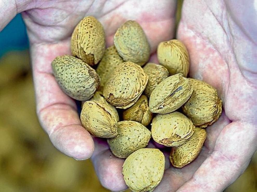 Almendras importadas de California.