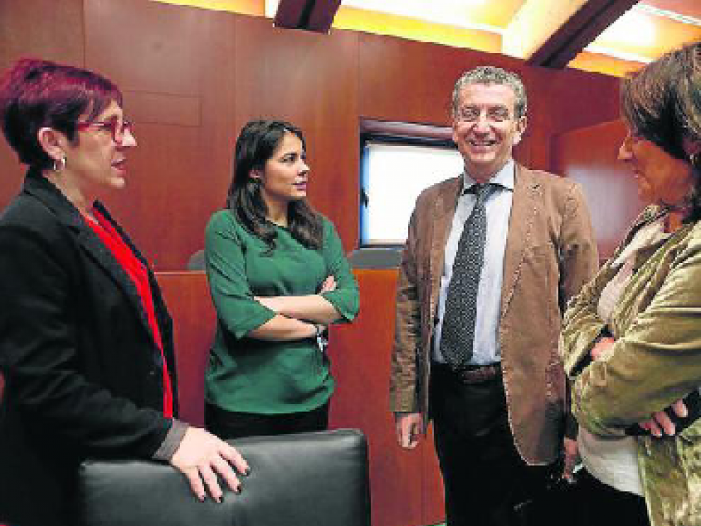 Celaya antes de comenzar su comparecencia en la Comisión de Sanidad.