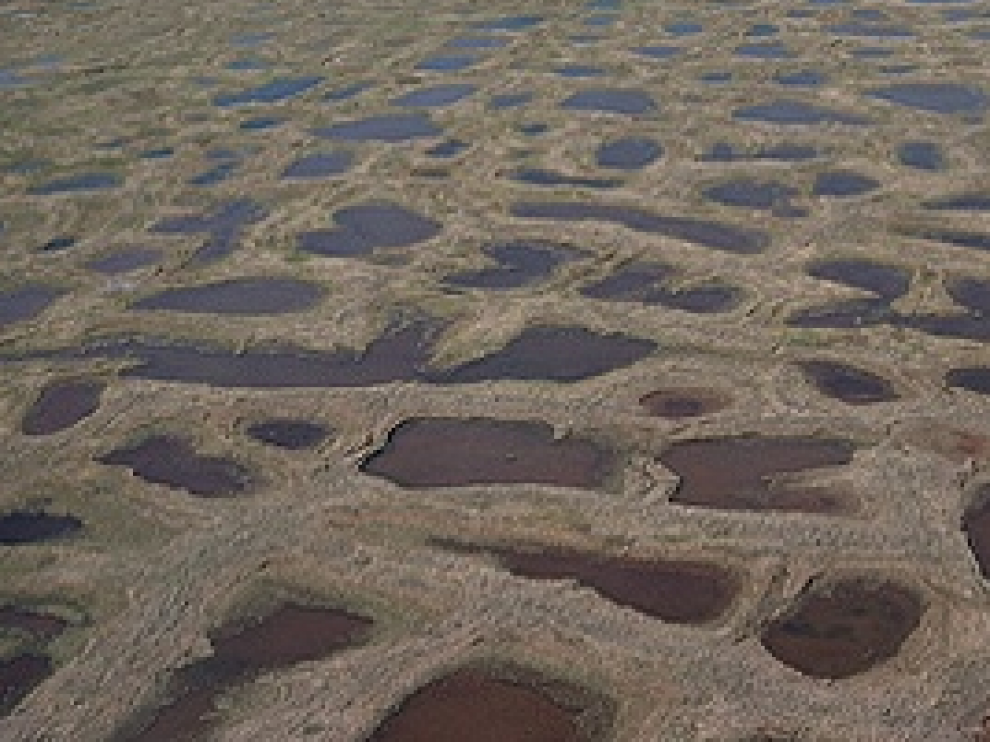Permafrost.
