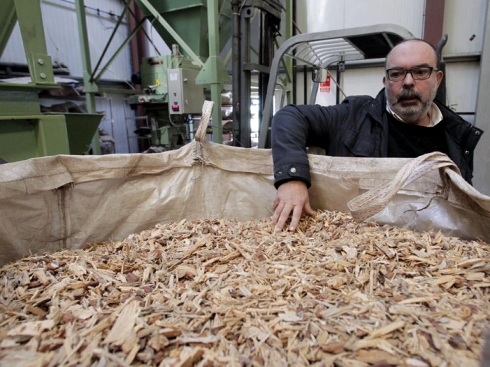 El director del Ceder-CIEMAT de Lubia, Miguel Latorre, inspecciona material para biomasa