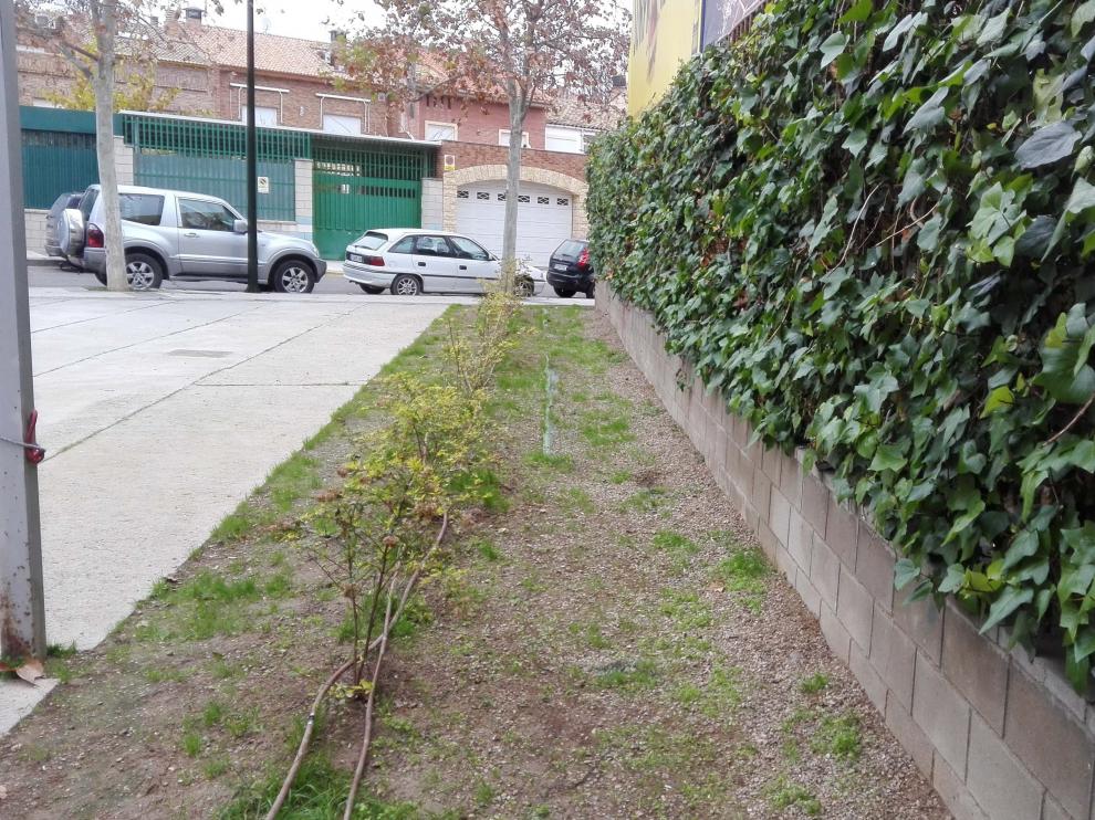 Plaza Santa Rosa de Lima, en el barrio de Las Fuentes.