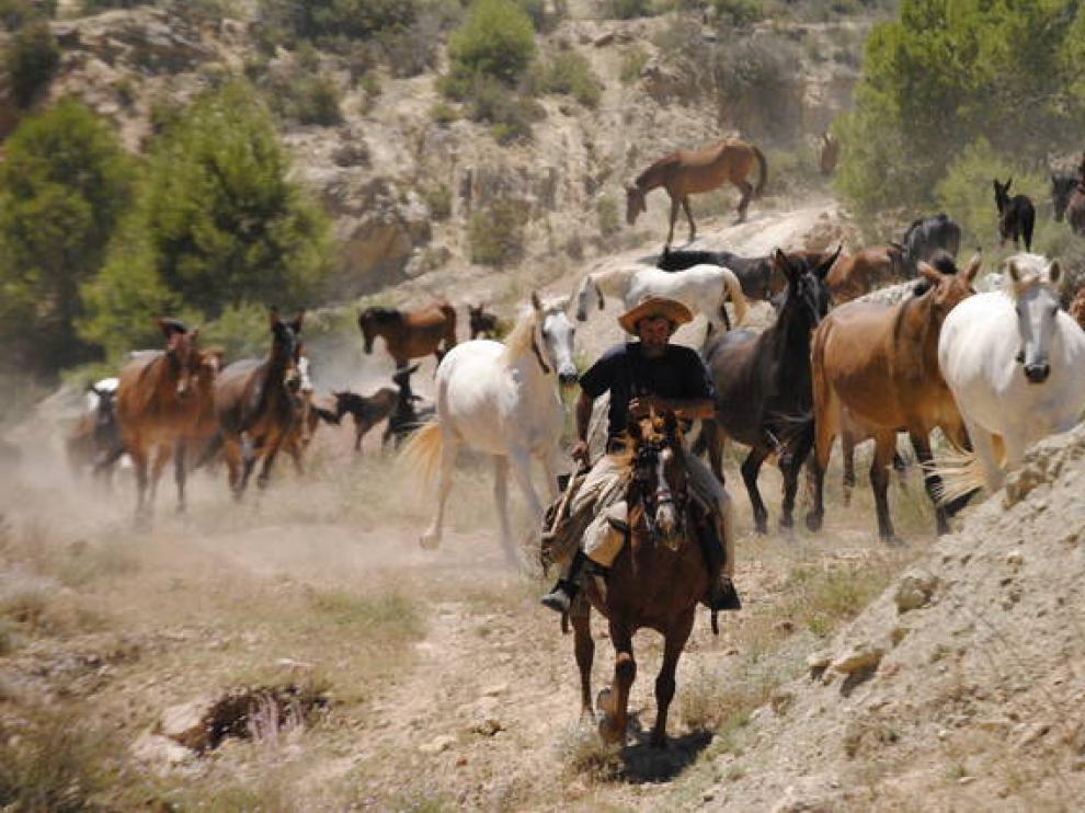 Trashumantes de Teruel hacia Valencia.