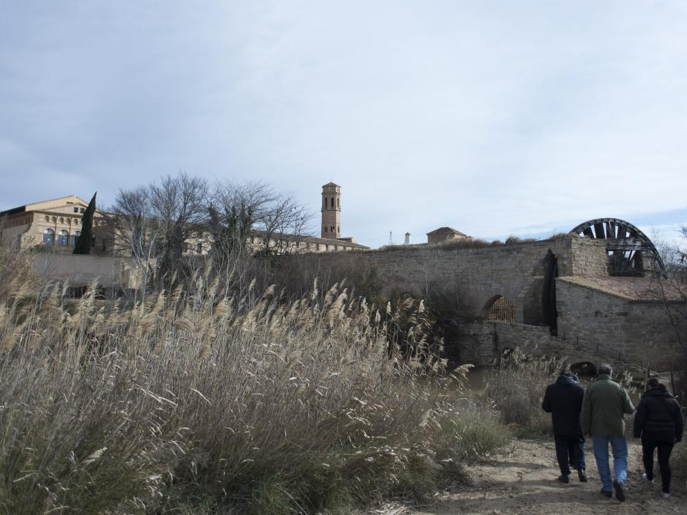 Más de un año de abandono.