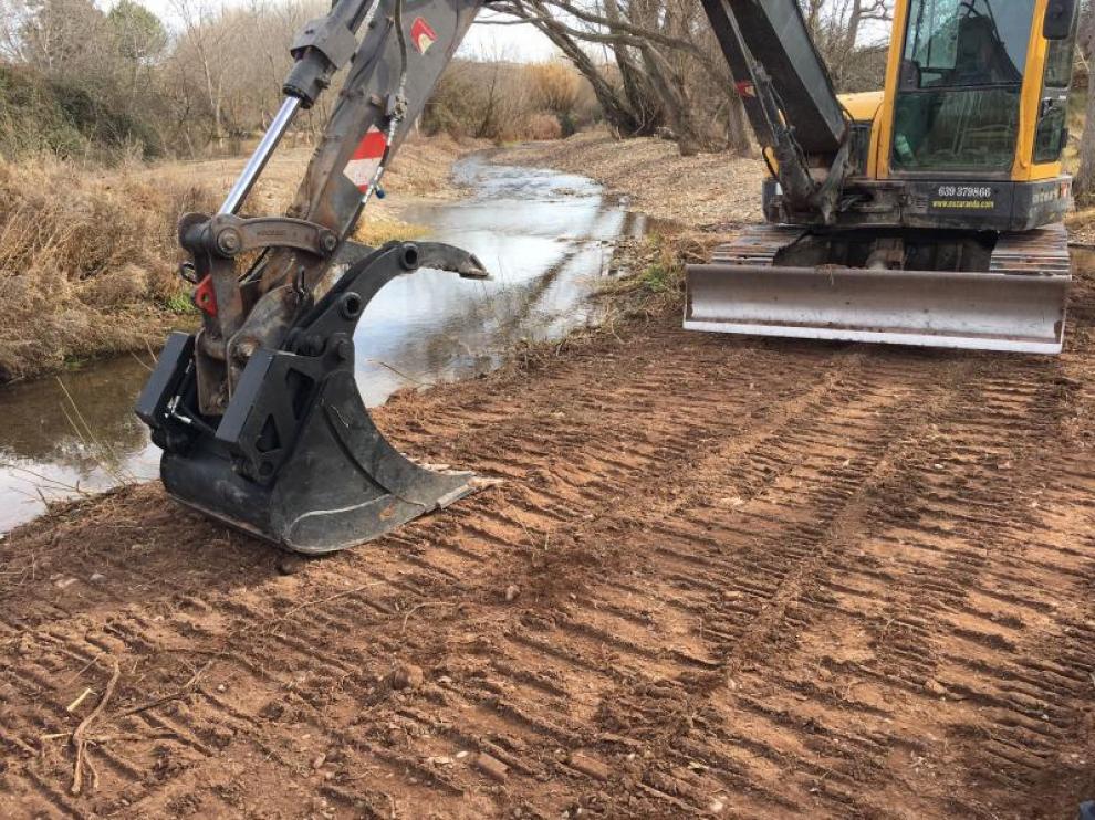 Los trabajos de limpieza en la orilla del Aranda ya han comenzado.