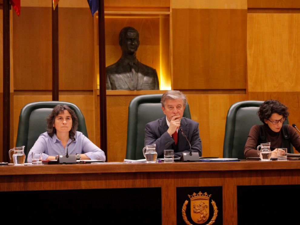 Pleno del Ayuntamiento de Zaragoza este viernes.