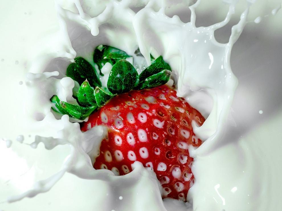 La leche es un alimento rico en energía y nutrientes.