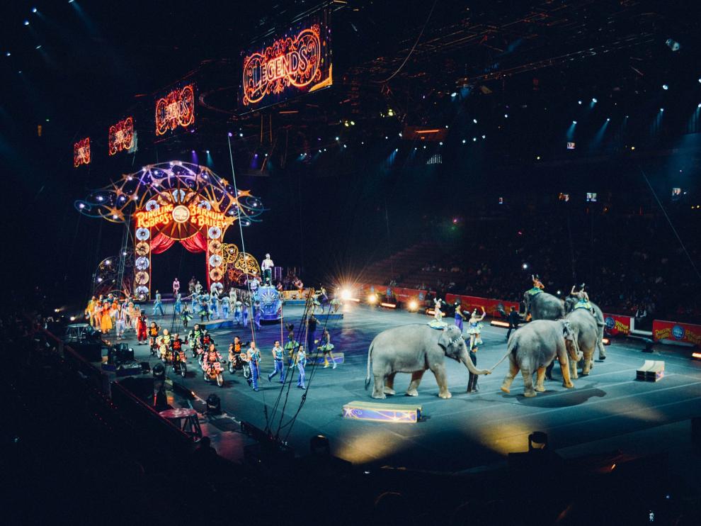 Circos sí, pero sin animales.