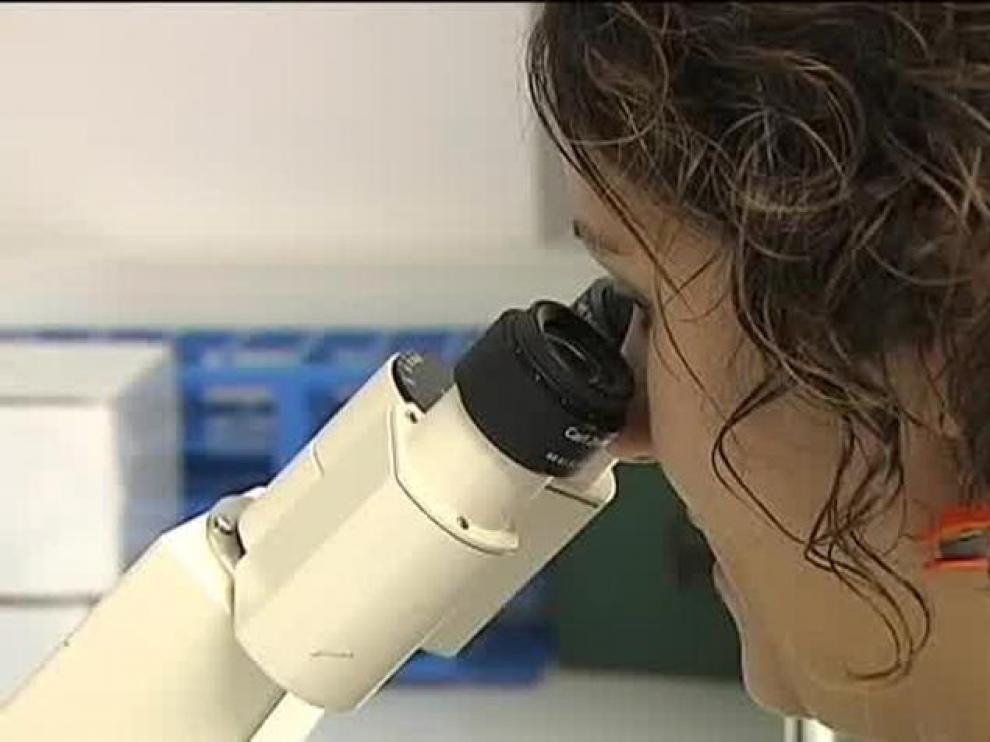 Cinco pacientes logran controlar el VIH sin tomar medicación