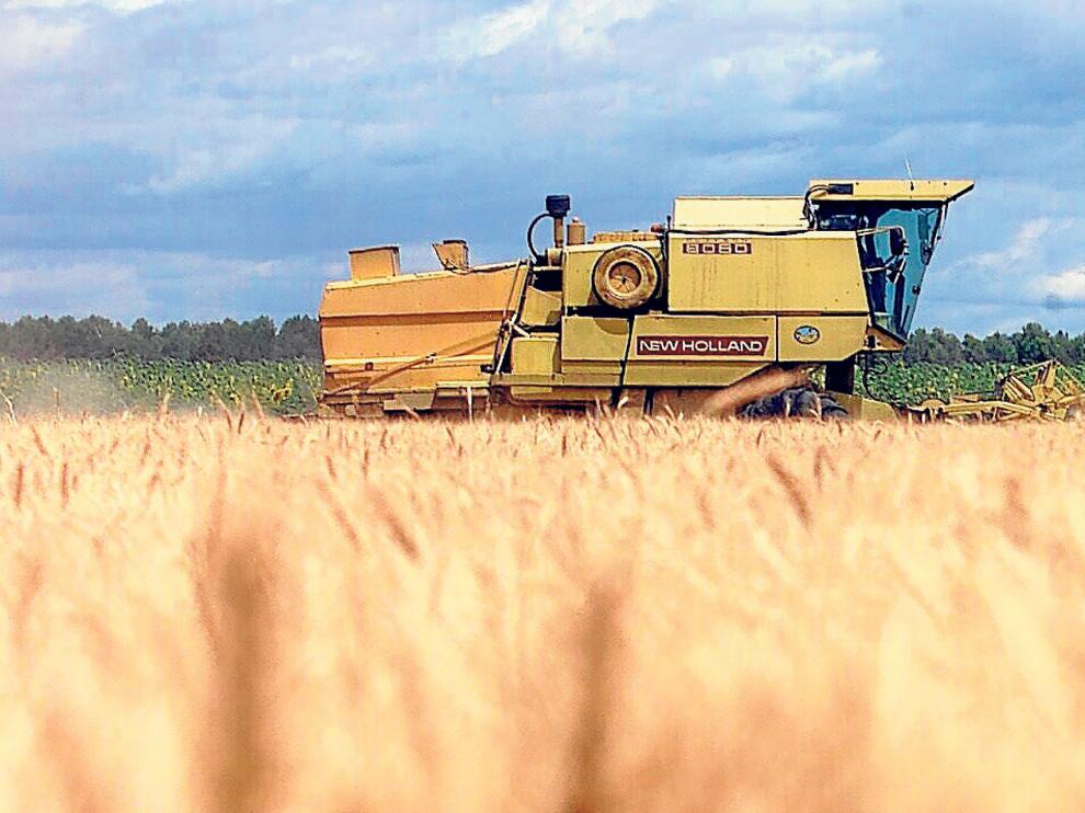 Los profesionales del campo vuelven a rellenar sus solicitudes de la PAC.