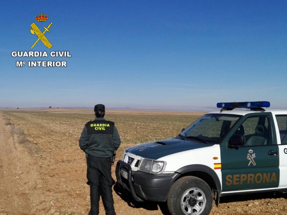 Un agente de la Guardia Civil, durante una intervención en la provincia de Teruel.