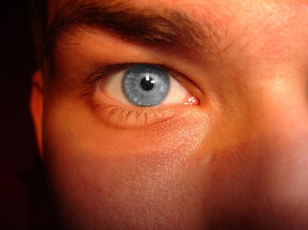 Los ojos, máquinas perfectas que nos enseñan el mundo.