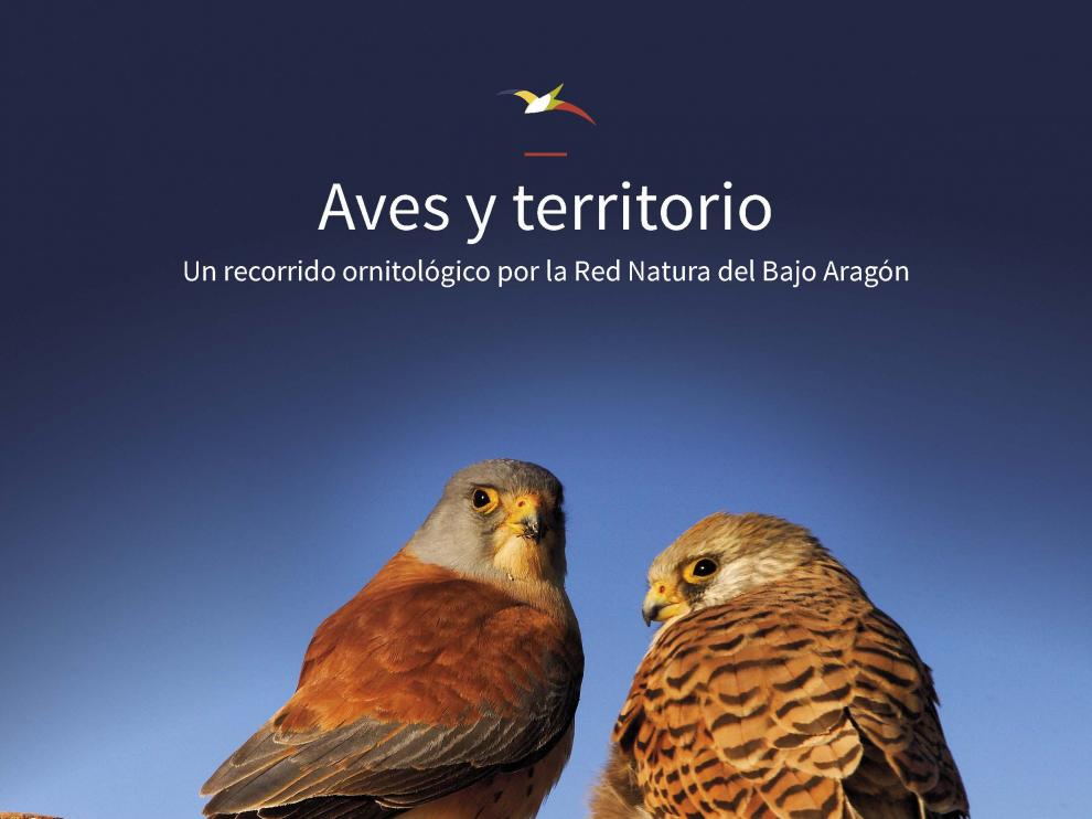 La guía de aves del Bajo Aragón ofrece 7 rutas de observación.