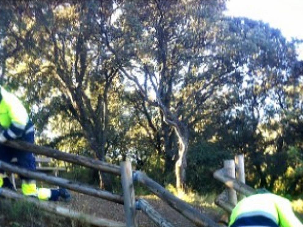 Trabajos de acondicionamiento en varios tramos del Camino Natural del Somontano.