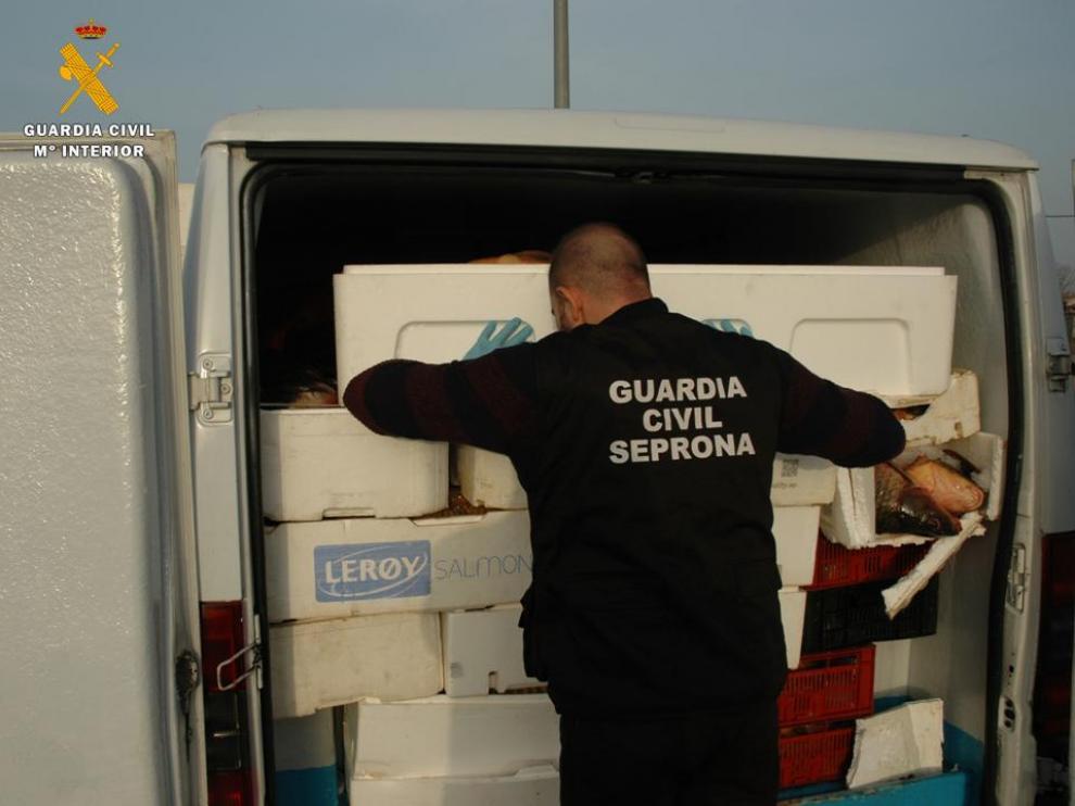 Un agente del Seprona, con la furgoneta detenida en la A-2, a la altura de El Frasno, cargada con casi 2.000 kilos de carpas con destino a Rumanía.