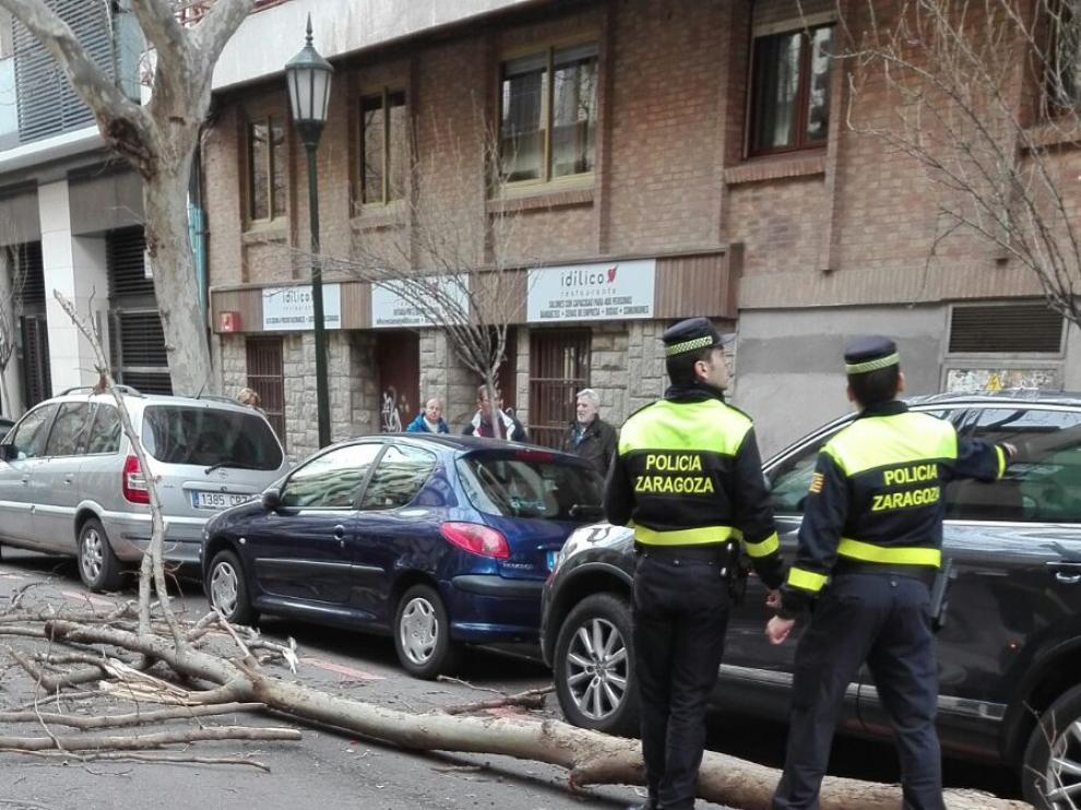 La Policía Local ha dado el aviso.