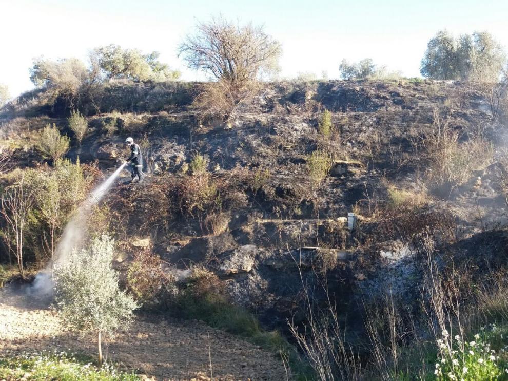 Una persona ha fallecidoen Caspe al parecer cuando quemaba restos de poda en un campo de olivos de su propiedad.