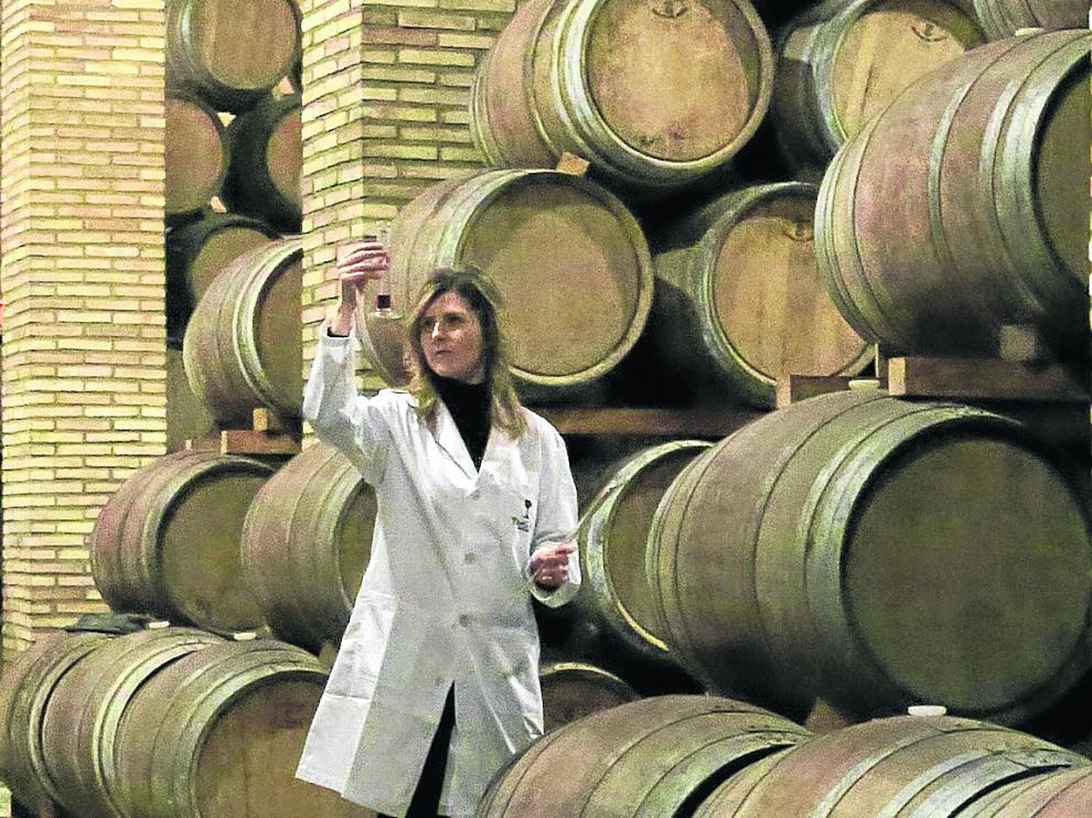 Elena Murillo, técnico de laboratorio de Bodegas Paniza en las instalaciones de la empresa.