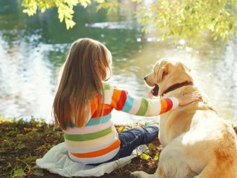 Los jóvenes que tienen mascotas tienden a desarrollar una mayor autoestima, ser menos solitarios y mejorar sus habilidades sociales.