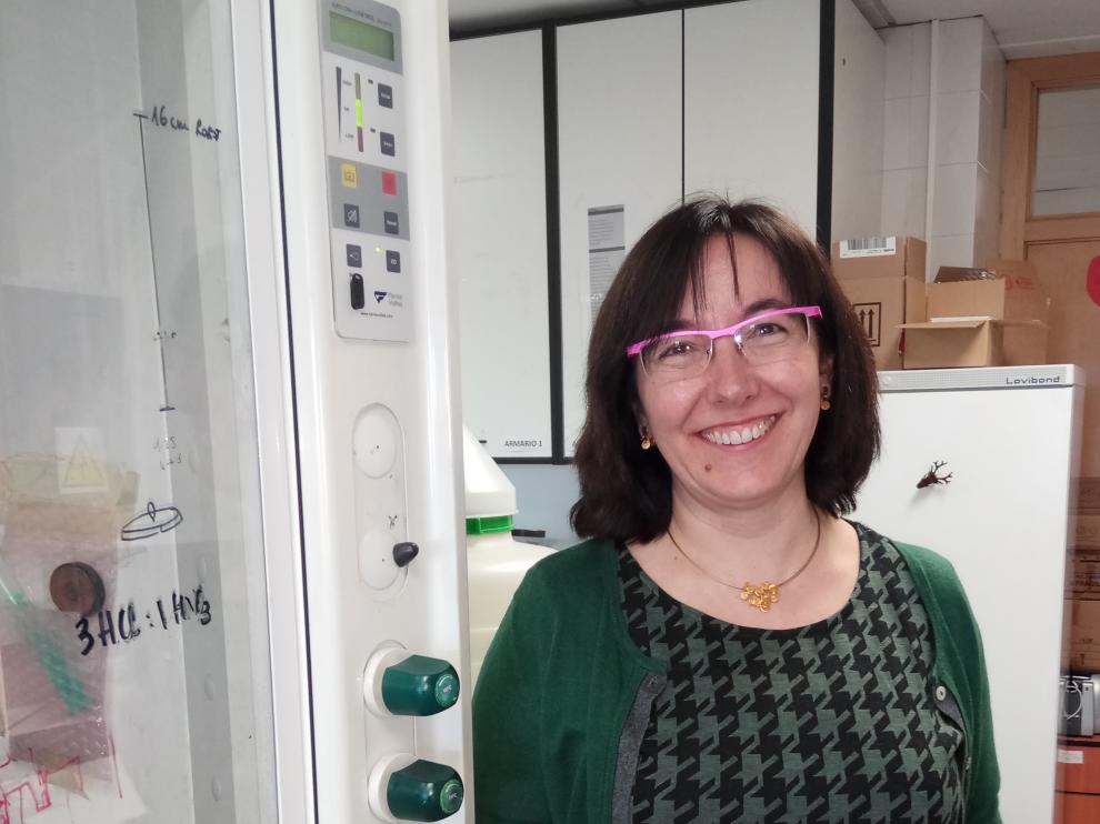 Concepción Gimeno, investigadora del CSIC y la Universidad de Zaragoza.