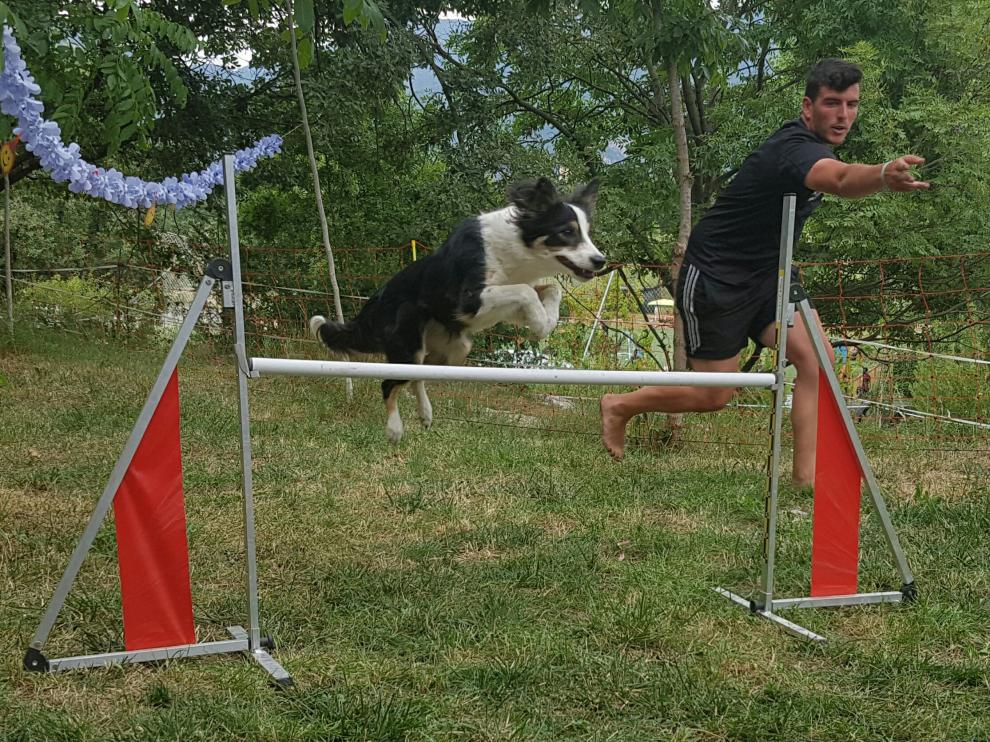 Un joven realiza ejercicios de 'agility' con su mascota.
