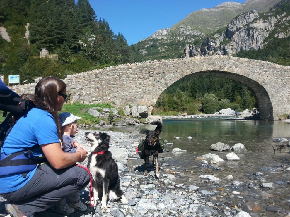 Oza y Guaso, dos de los perros de Miguel Ángel Baquedano, en Bujaruelo.