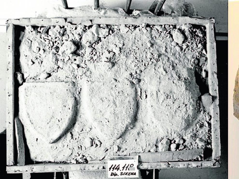 La llamativa degradación de la piedra tallada Incompleto y roto. La foto del lateral de urna funeraria (de autor desconocido y datado en el siglo XIV) que consta en el inventario del MNAC a la izquierda ya daba idea de su precario estado de conser-vación, pero su aspecto a su vuelta a Sijena derecha es aún más preocupante. No solo está incom-pleto, sino que también aparece roto en dos partes. El museo catalán reconoció en 2010 que ante su rápido deterioro, decidió sacarlo del almacén y ubicarlo en el exterior del edificio, lo que, según su versión, logró frenar su desintegración.