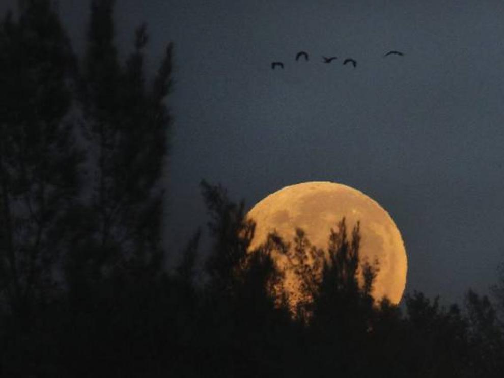 Superluna, en el firmamento terrestre.