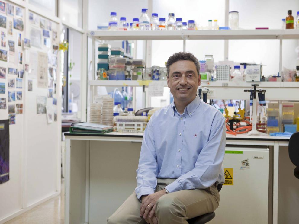 Carlos Martín Montañés, en el laboratorio de la Facultad de Medicina de la Universidad de Zaragoza.