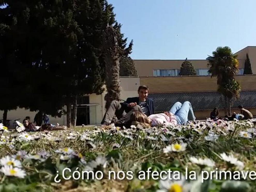 ¿Cómo nos afecta la primavera?