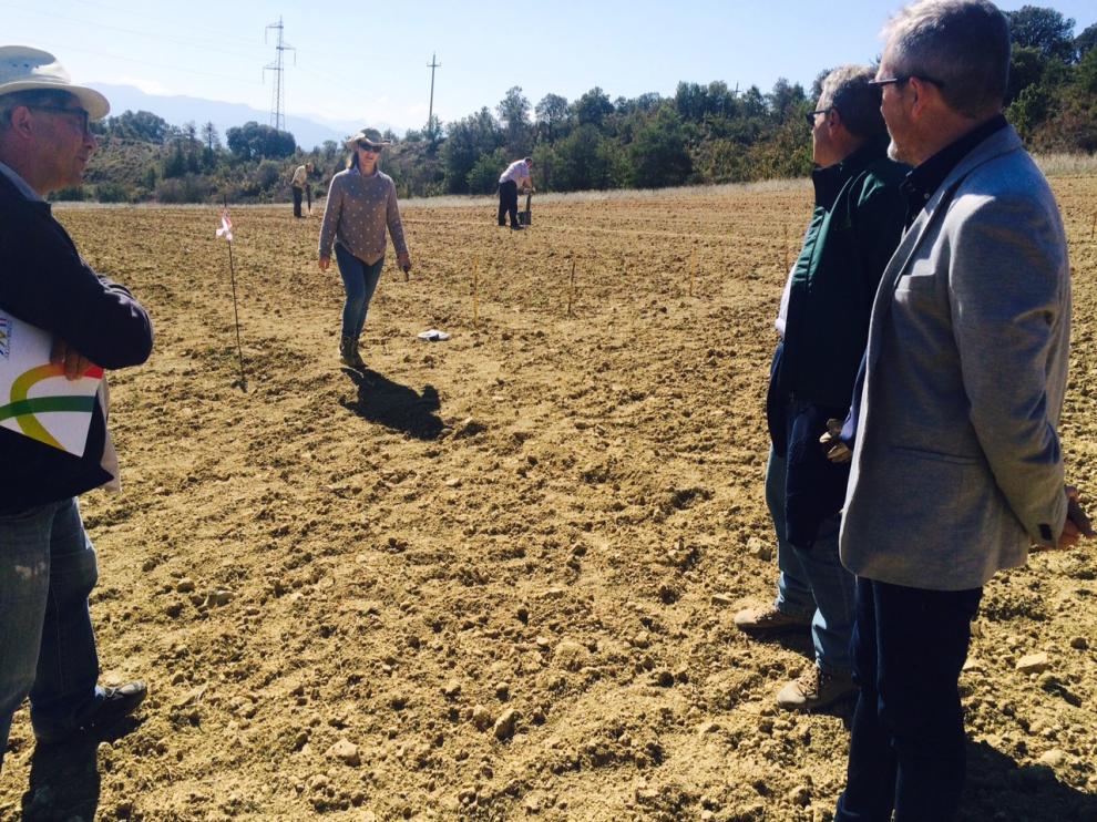 La parcela tiene mil metros cuadrados y se sitúa en un campo de Bernués.