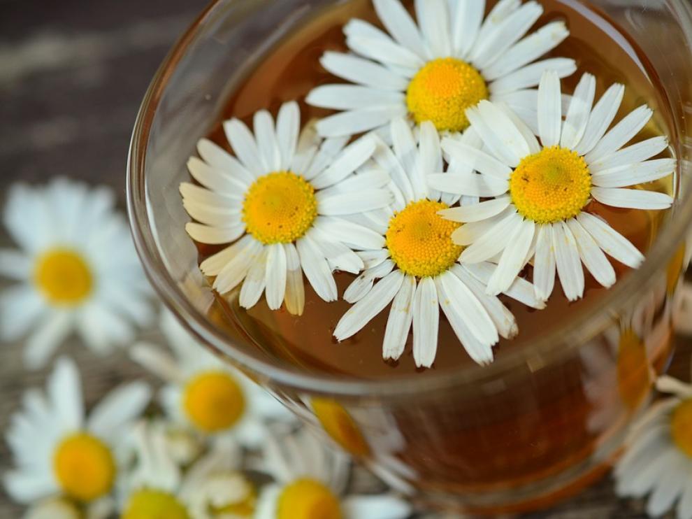 La manzanilla es una planta medicinal de uso muy común.