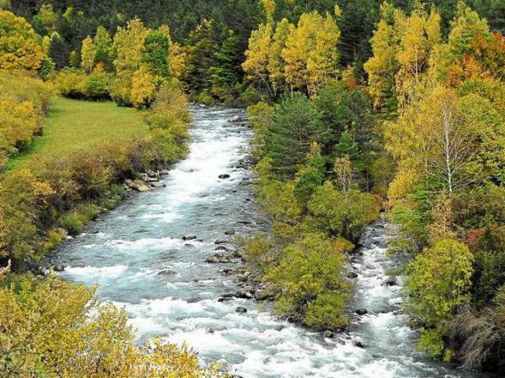 Río del pirineo aragonés