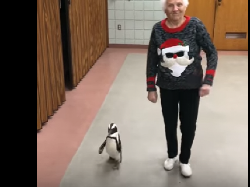 La abuela de Ross Smith es una tendencia de Youtube.