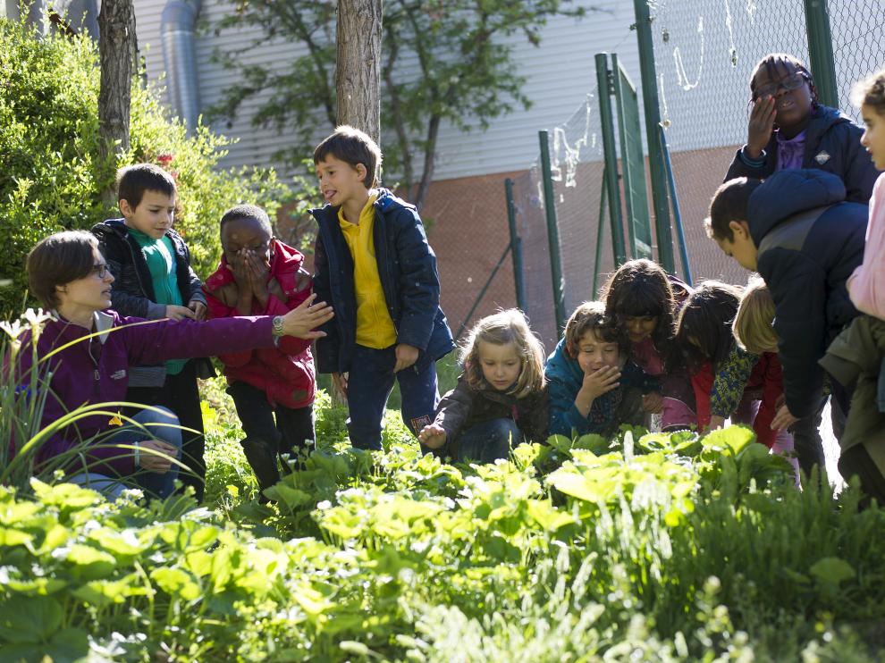 Actividad en el huerto del colegio Tenerías de Zaragoza en la mañana de ayer.