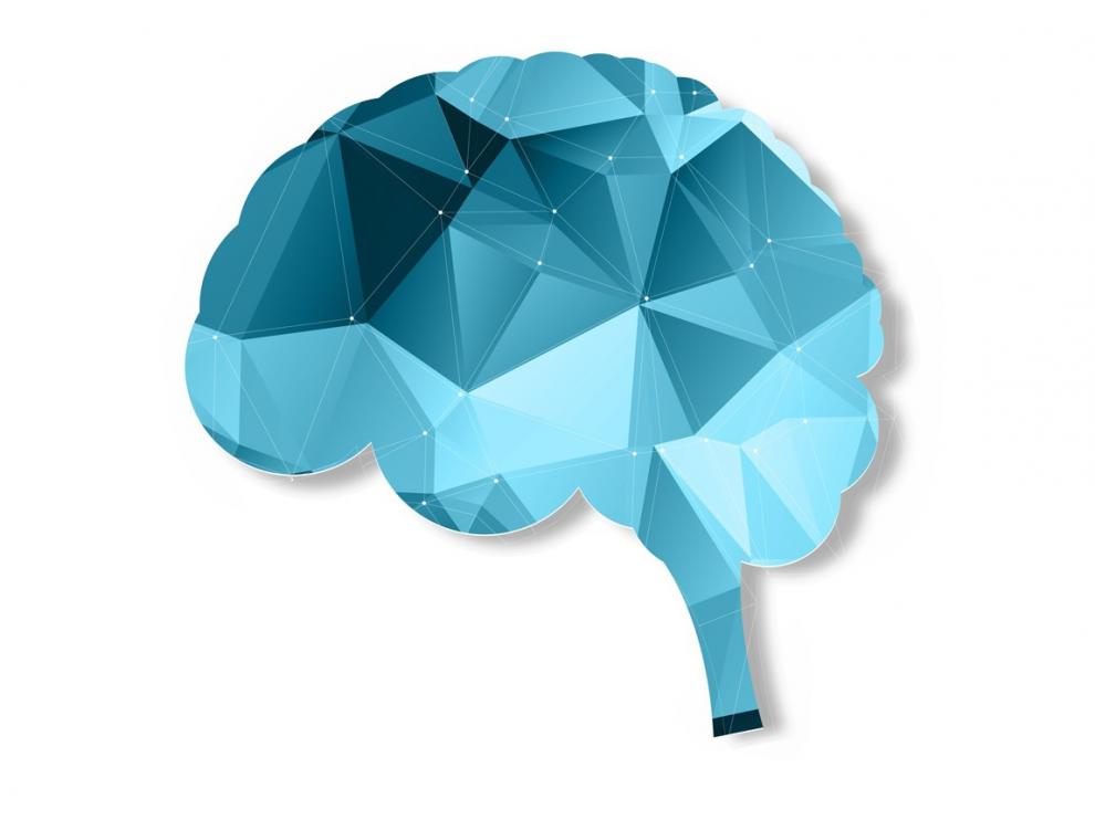 Un estudio de la Universidad de Harvard señala que las actividades que involucran las emociones y los sentidos son más beneficiosas para el cerebro